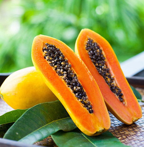 吃木瓜的十大禁忌 木瓜能丰胸是真的吗