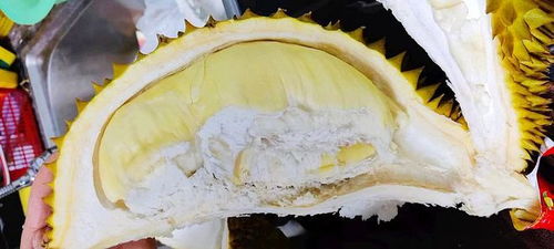 吃完榴莲千万别碰5种食物 吃完榴莲千万别碰哪5种食物