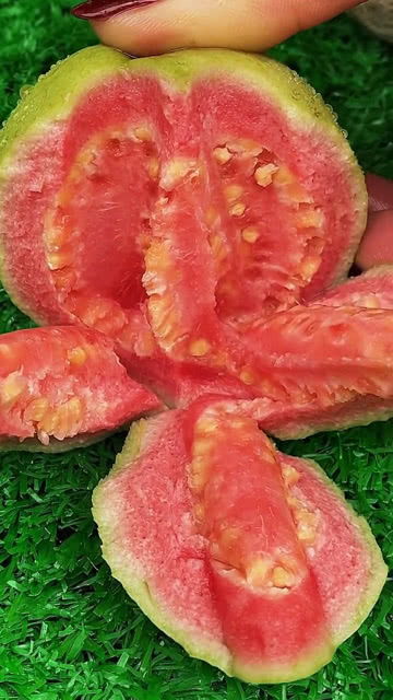 吃芭乐的季节 芭乐一年四季都有吗