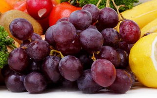 吃的葡萄籽能不能直接种植 吃的葡萄籽种出来能结葡萄吗