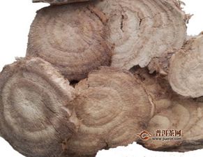 吃葛根粉相当于吃激素 葛根粉副作用极大