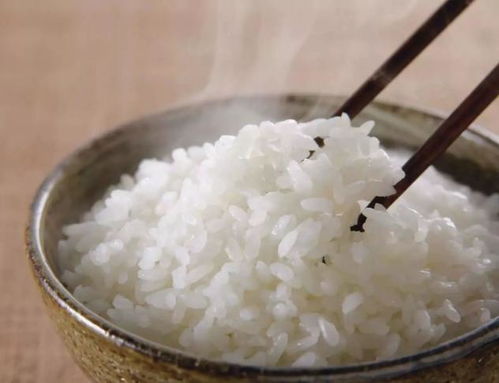 吃面养人还是吃米养人 吃面食养胃还是米饭养胃