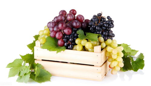 含糖量最高的水果排名 十大含糖量高的水果排名