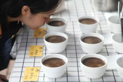 咖啡渣可以掺在猫砂里吗 养猫人咖啡渣有啥用处呢