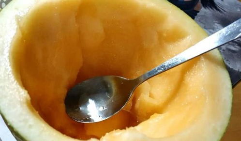 哈密瓜有几个品种 最好吃的哈密瓜排名