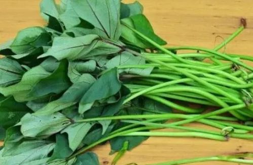 哪种红薯叶有毒 红薯叶的危害和副作用