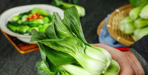 哪些菜属于青菜 青菜100种
