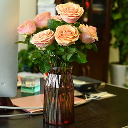 喜欢买花的女人是精致 家里经常摆鲜花的女人