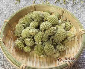 喝了一个月绿萝花 绿萝花的副作用太大了