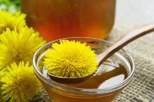 喝栀子水有什么好处 栀子对妇科有什么功效