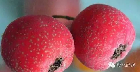喝酒吃桃子会中毒吗 为什么喝酒不能吃桃子