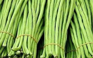 四季豆俗称什么 四季豆和豆角区别图片