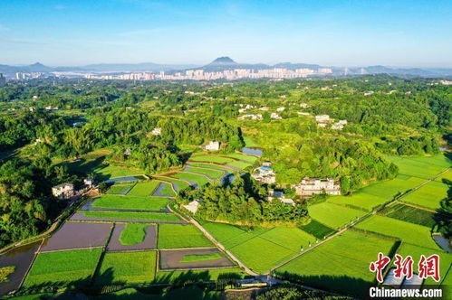 四川是鱼米之乡吗 四川为什么叫鱼米之乡