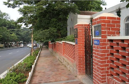 围墙外面长了一颗桑树 院墙外有桑树怎么化解