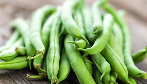 四季豆为啥叫四季豆 四季豆和豆角区别图片