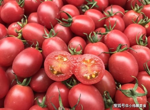 圣女果好还是千禧果好 千禧果为什么不建议吃