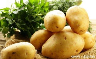 土豆的最佳储存方式 土豆不长牙的小窍门