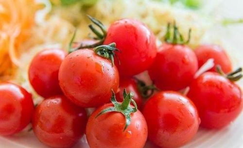 圣女果好还是西红柿好 圣女果为何要尽量少吃