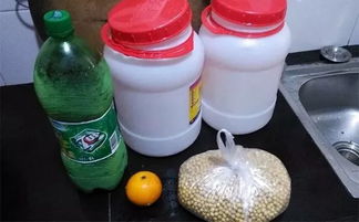 在家自制肥料 最简单的肥料