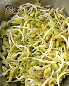 在家怎么发黄豆芽 在家怎样发豆芽