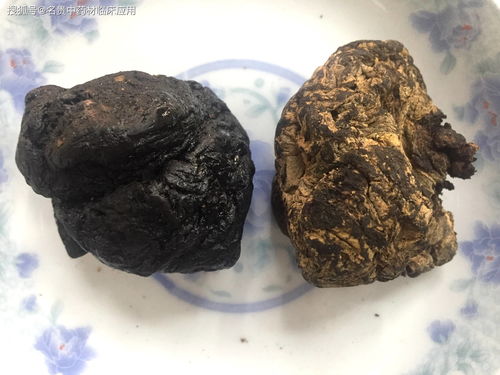 地黄的十大功效 地黄主治什么功效