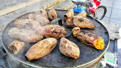 地瓜又叫什么名 地瓜的几种叫法