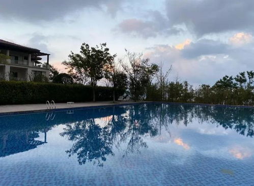 夏天有什么景色或景物 10种代表夏天的景物