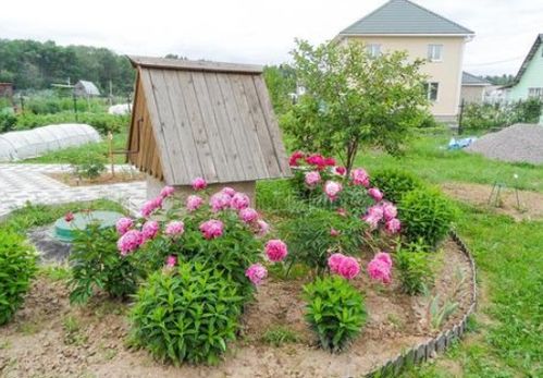 夏天特有的景色 夏天的自然景物描写