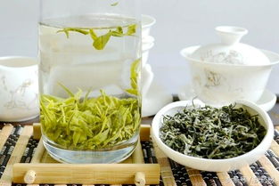 夏天喝碧螺春的好处 三种人不宜喝碧螺春
