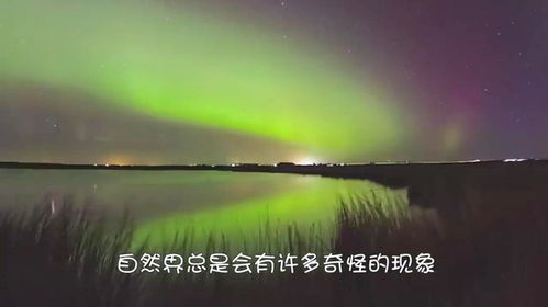 夏天明显的自然现象 夏天的30个自然现象