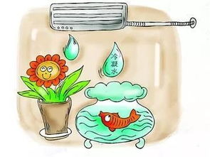 夏天晚上10点能不能浇花 晚上十一点浇花可以吗