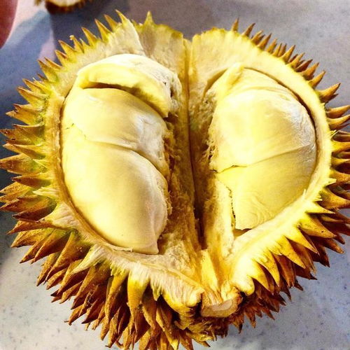 夏天吃榴莲的功效与作用 女人吃榴莲的十大好处