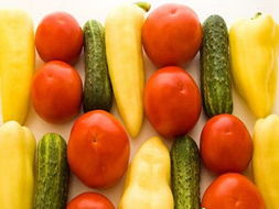 夏天种的10种蔬菜 14种蔬菜水果的介绍