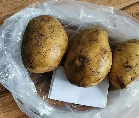 大量土豆怎么放不发芽 土豆不长牙的小窍门