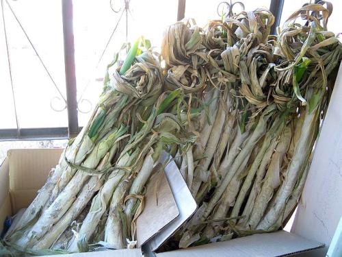 大葱冰箱冷冻保存方法 大葱放冷冻还是冷藏