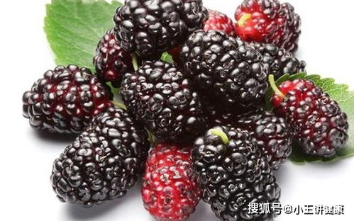 天天吃桑葚三个月头发变黑了 白头发吃桑葚多久就变黑