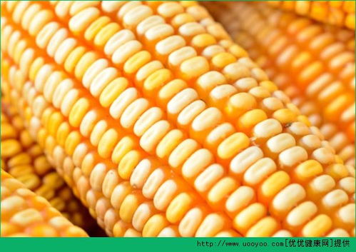 央视报道甜玉米转基因 哪几种玉米是转基因的