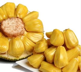 女人为什么少吃菠萝蜜 菠萝蜜对女性子宫的好处