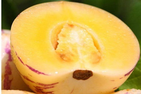 女人吃人参果的好处 三种人坚决不能吃人参果