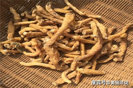 女人一定要多吃玉竹 女人每天喝玉竹水好吗