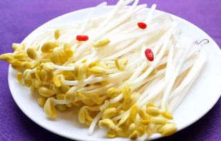女人为什么要少吃豆芽 减肥为啥不让吃豆芽