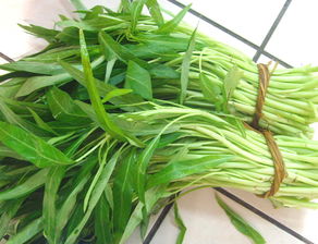 女人为什么要少吃空心菜 空心菜暗示什么代表什么