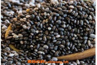 奇亚籽的作用与功效 奇亚籽吃多了拉屎都是黑色的