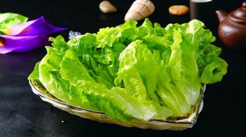 女人为什么少吃生菜 什么蔬菜刮油减肥最有效