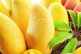 女人为啥不能吃芒果 芒果女人吃了好不好