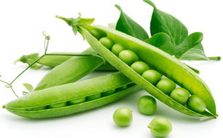 女人吃芸豆有什么好处 抗癌第一豆是什么豆