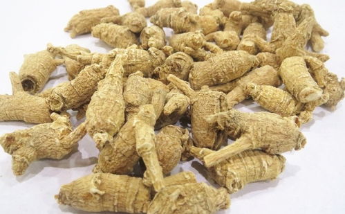 女人吃西洋参有什么好处 西洋参对男性性功能有效吗