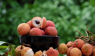 女人吃荔枝干有什么好处 三种人坚决不能吃荔枝干