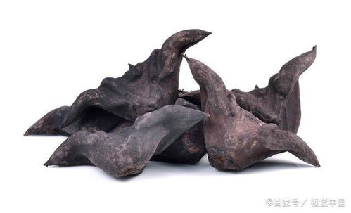 女人吃菱角有什么好处 菱角为什么叫鬼见愁