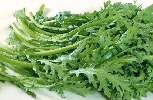 女人吃茼蒿的好处和坏处 女人吃茼蒿能治什么病